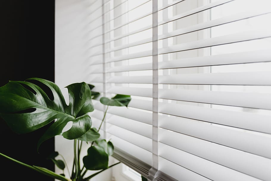 Venetian Blinds