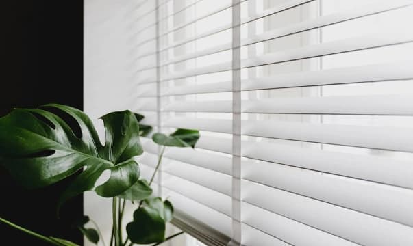 Venetian Blinds